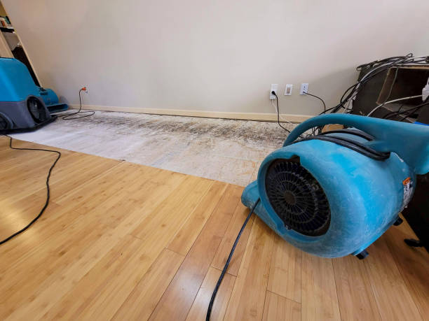 Professional Emergency Water Damage technician working in Albert Lea, MN
